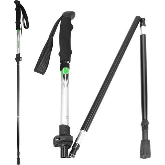 Travel Folding Trekking Hiking Pole with Carrying Case